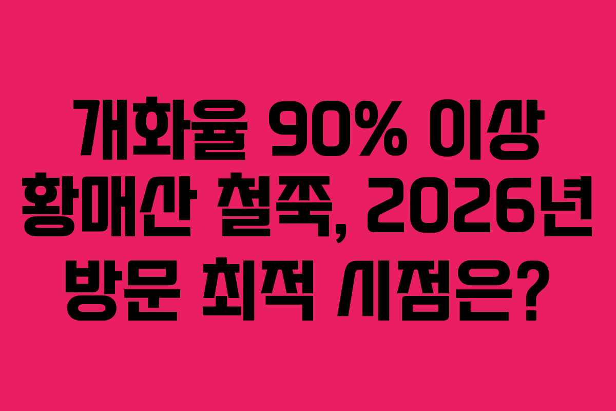 개화율 90% 이상 황매산 철쭉, 2026년 방문 최적 시점은?