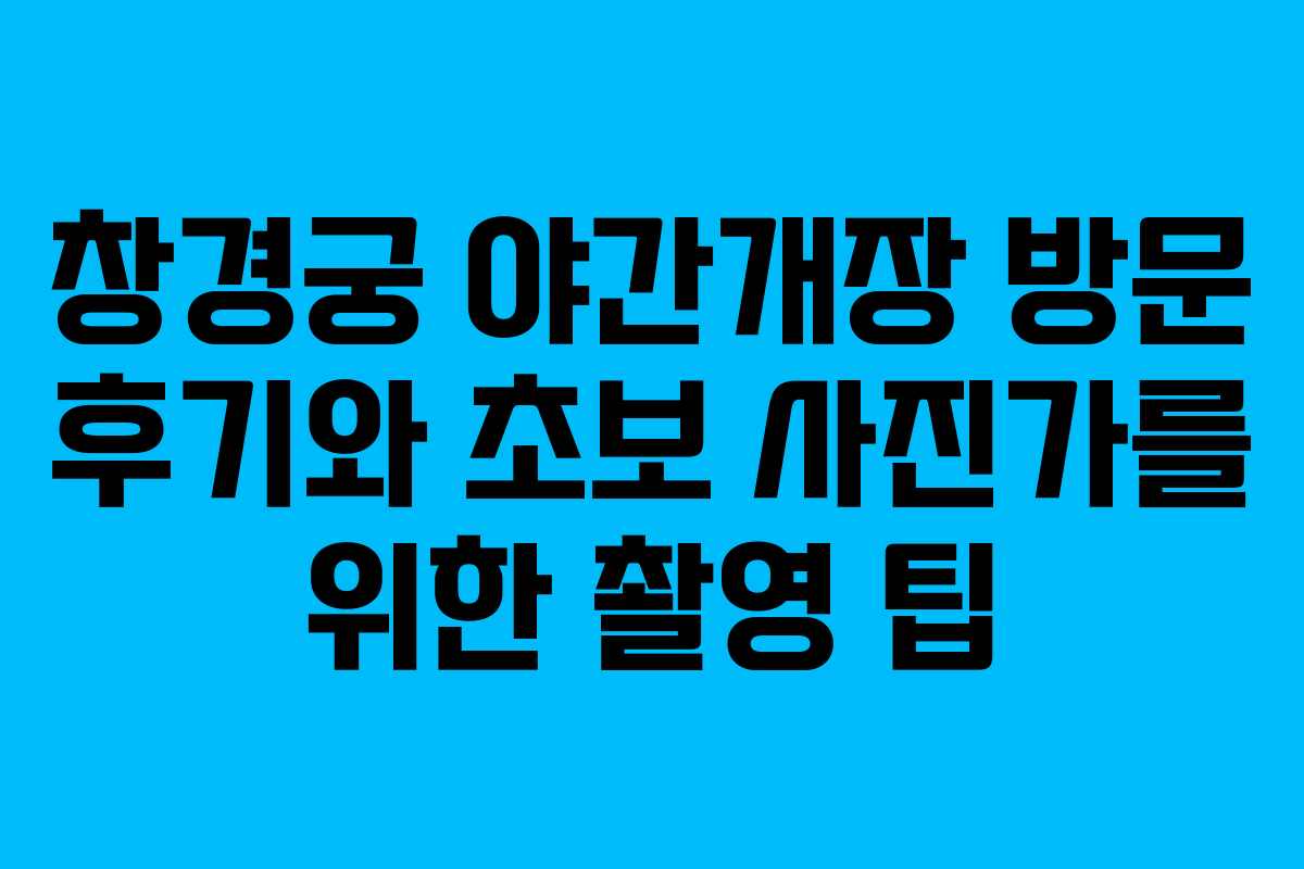 창경궁 야간개장 방문 후기와 초보 사진가를 위한 촬영 팁