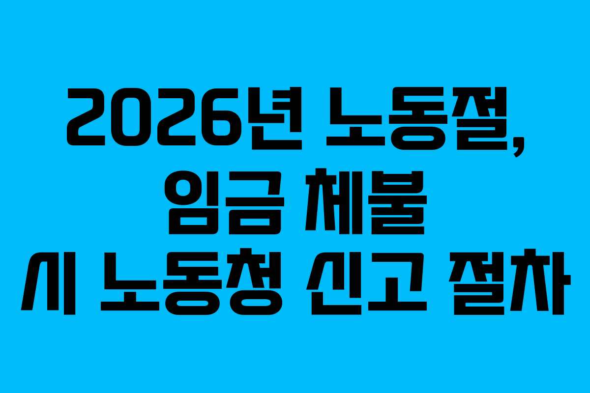 2026년 노동절, 임금 체불 시 노동청 신고 절차