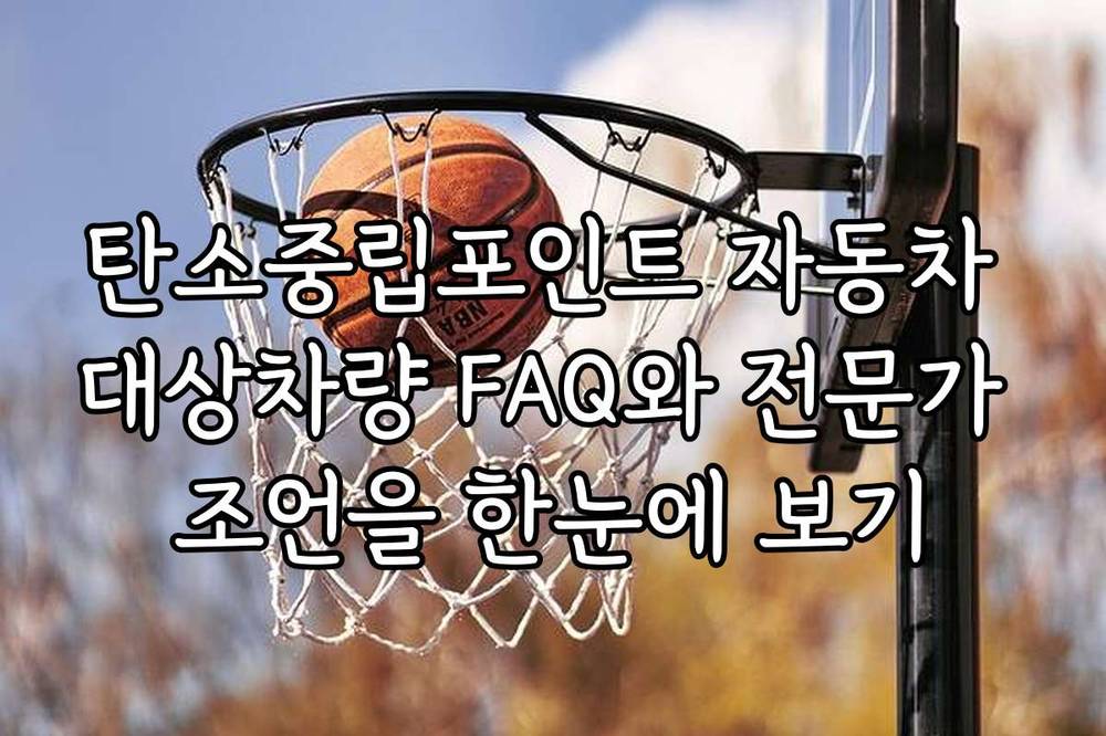 탄소중립포인트 자동차 대상차량 FAQ와 전문가 조언을 한눈에 보기