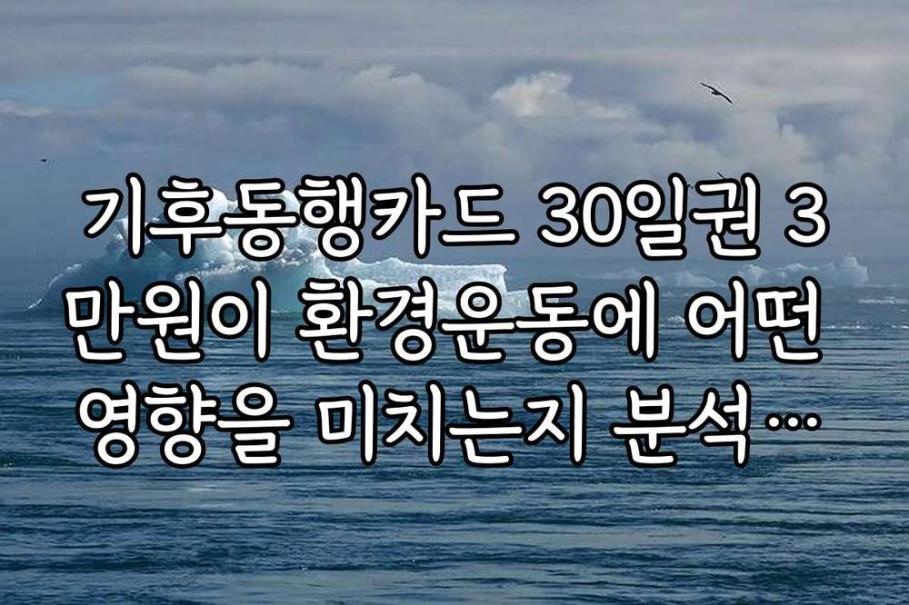 기후동행카드 30일권 3만원이 환경운동에 어떤 영향을 미치는지 분석해보니
