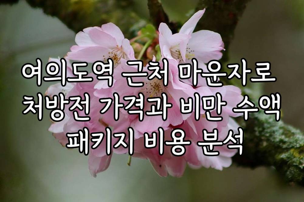 여의도역 근처 마운자로 처방전 가격과 비만 수액 패키지 비용 분석