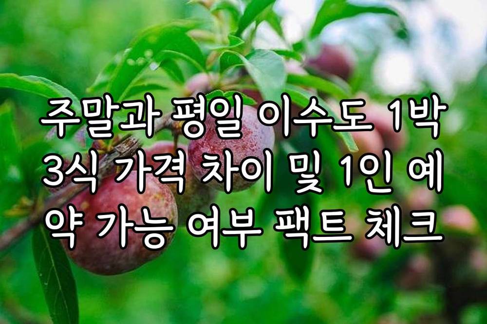 주말과 평일 이수도 1박3식 가격 차이 및 1인 예약 가능 여부 팩트 체크