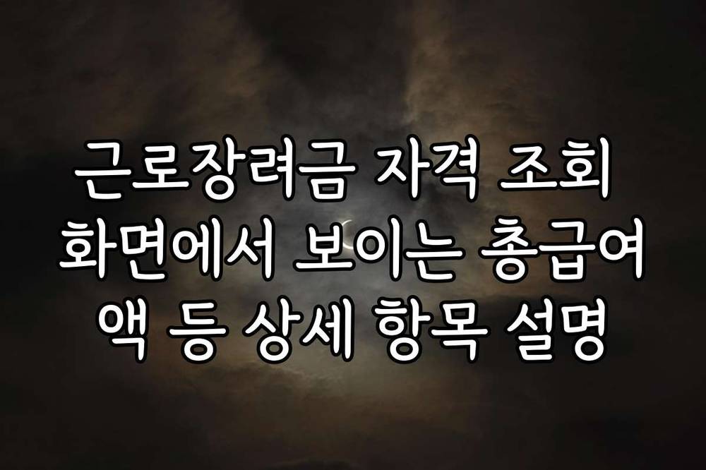 근로장려금 자격 조회 화면에서 보이는 총급여액 등 상세 항목 설명