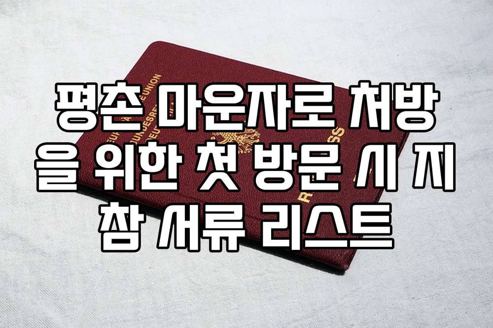 평촌 마운자로 처방을 위한 첫 방문 시 지참 서류 리스트