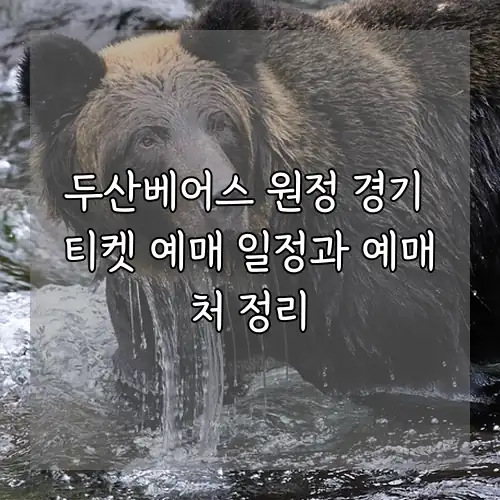 두산베어스 원정 경기 티켓 예매 일정과 예매처 정리