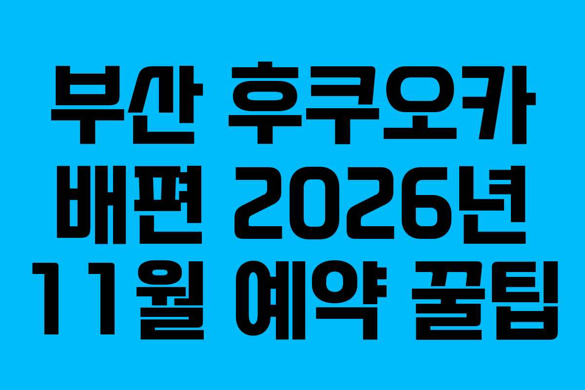 부산 후쿠오카 배편 2026년 11월 예약 꿀팁