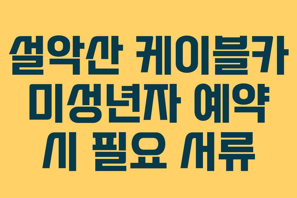 설악산 케이블카 미성년자 예약 시 필요 서류