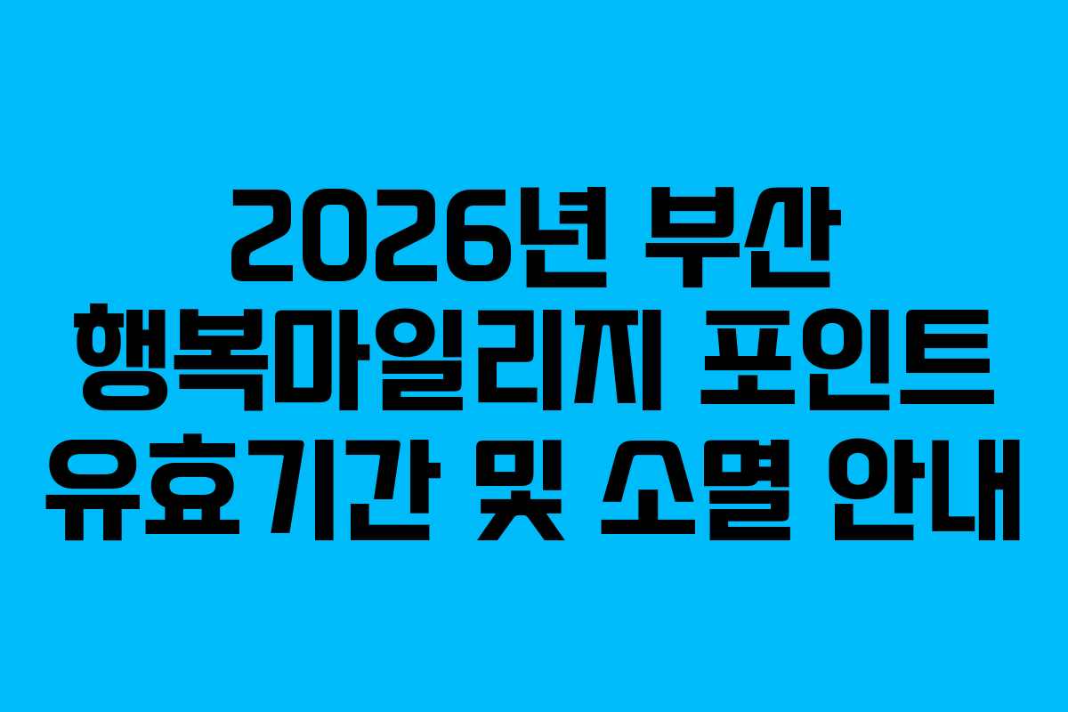 2026년 부산 행복마일리지 포인트 유효기간 및 소멸 안내