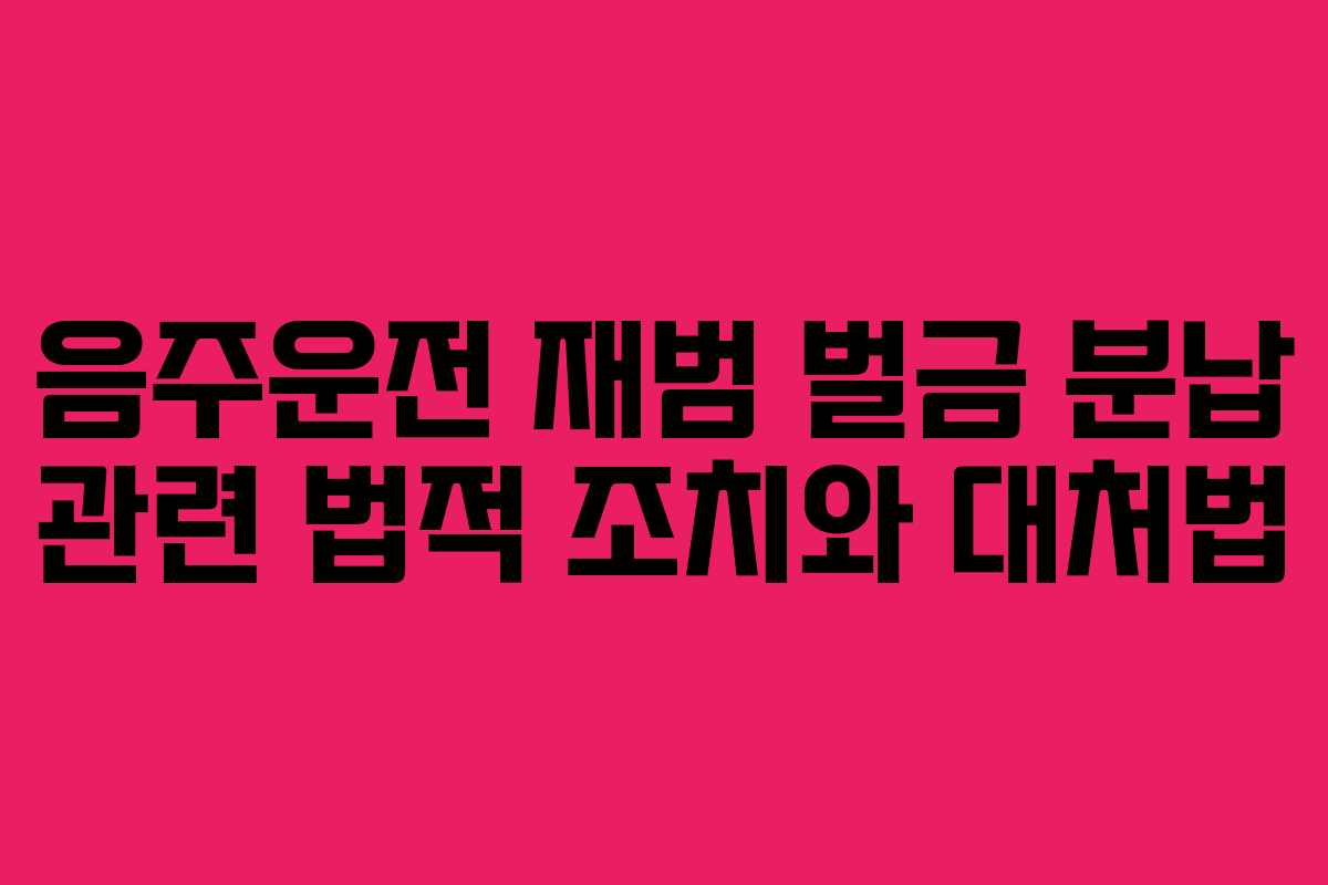 음주운전 재범 벌금 분납 관련 법적 조치와 대처법 음주운전 재범 벌금 분납 관련 법적 조치와 대처법