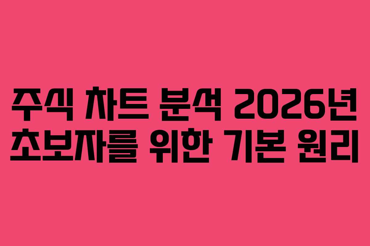 주식 차트 분석 2026년 초보자를 위한 기본 원리