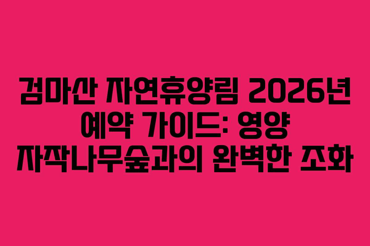 검마산 자연휴양림 2026년 예약 가이드: 영양 자작나무숲과의 완벽한 조화